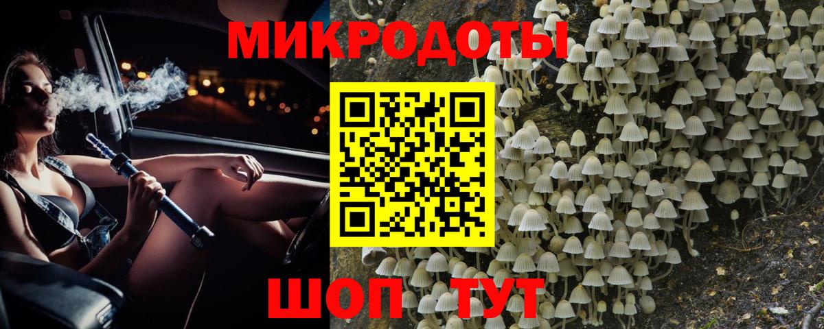Псилоцибиновые грибы Cubensis Ростов-на-Дону